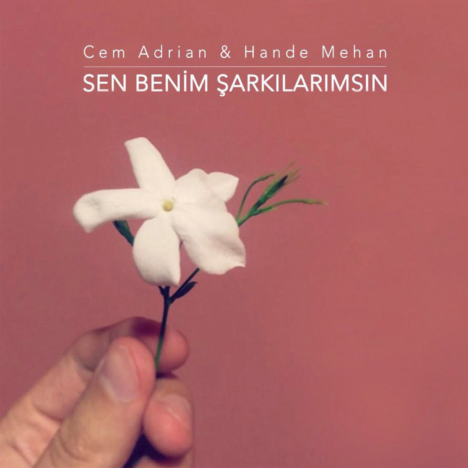 Sen Benim Şarkılarımsın feat. Hande Mehan albüm kapağı