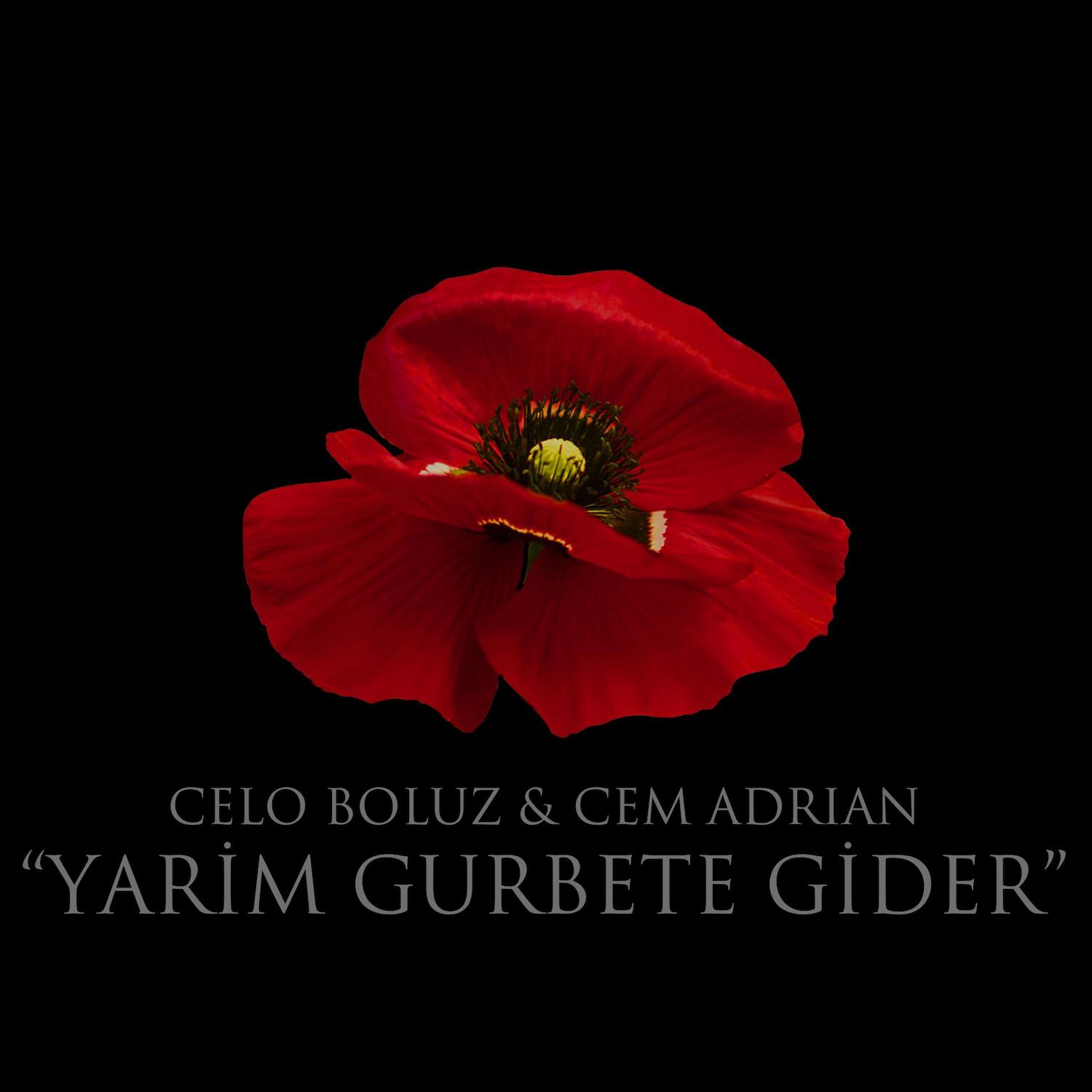 Yarim Gurbete Gider (feat. Celo Boluz) albüm kapağı