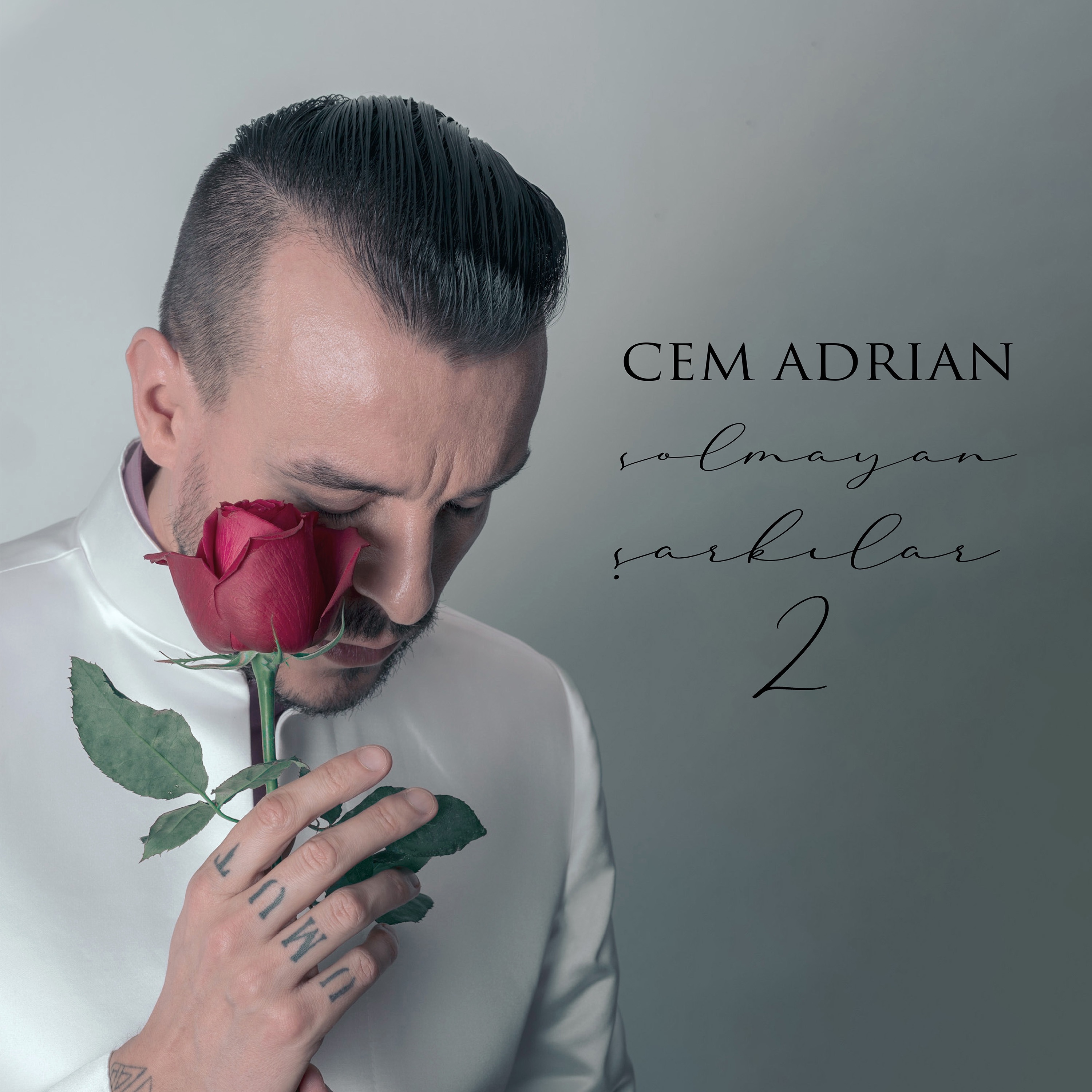 Solmayan Şarkılar 2 albüm kapağı